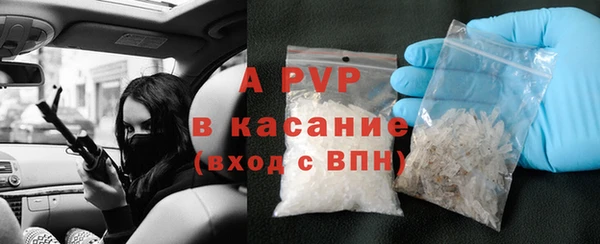 крисы Коряжма