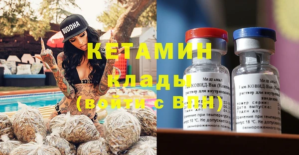 крисы Коряжма