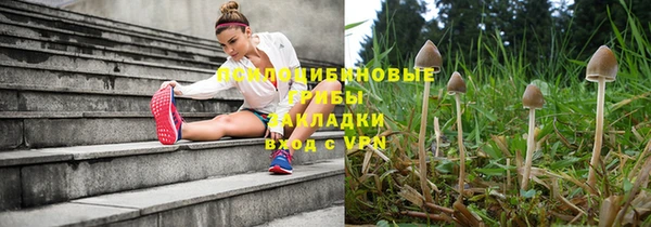 крисы Коряжма