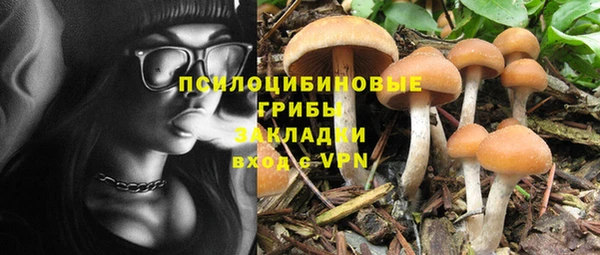 крисы Коряжма