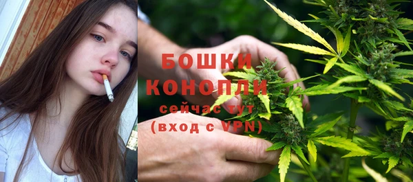крисы Коряжма