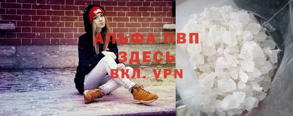крисы Коряжма