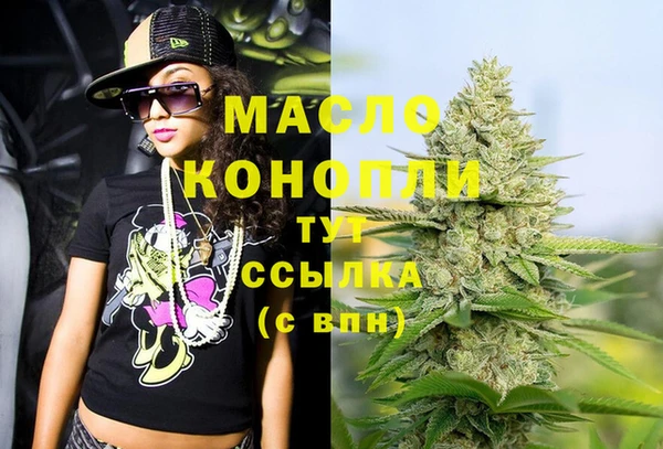 крисы Коряжма