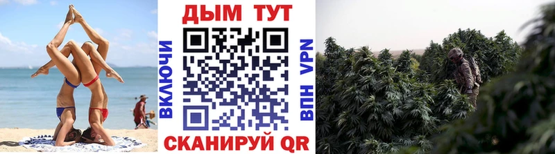 Шишки марихуана Bruce Banner  Фрязино 